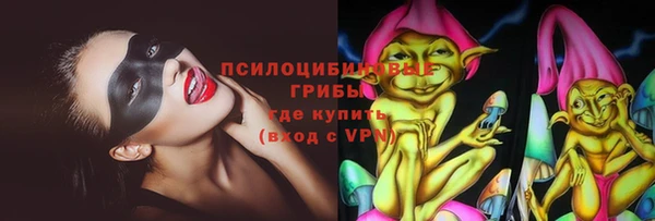 синтетический гашиш Ельня