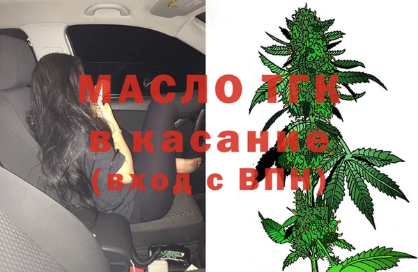 прущие грибы Елизово