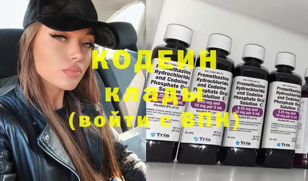 прущие грибы Елизово