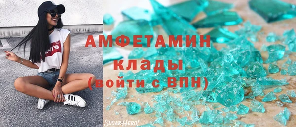 прущие грибы Елизово