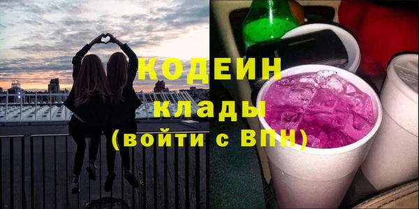 прущие грибы Елизово