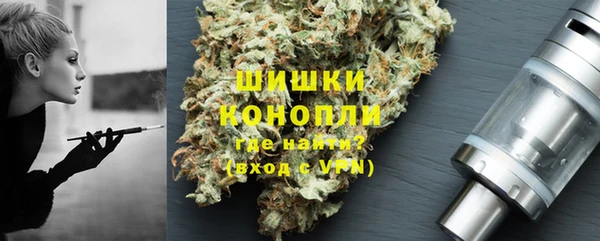 прущие грибы Елизово