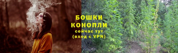 твердый Елабуга