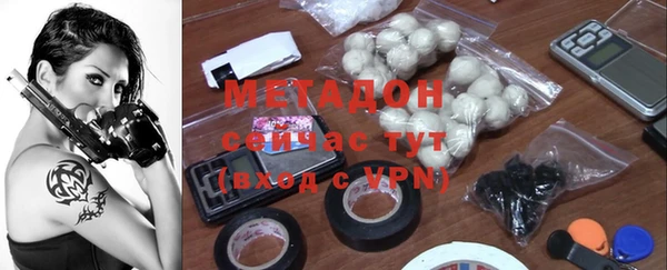 прущие грибы Елизово