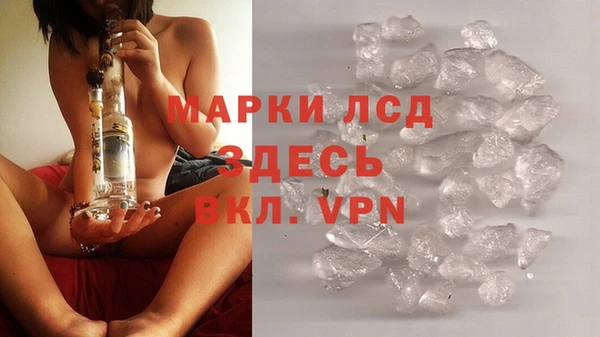прущие грибы Елизово