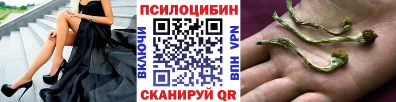 Псилоцибиновые грибы мухоморы  Купить закладки  Карабулак 