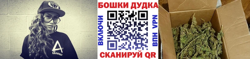Купить закладки  Карабулак  Марихуана сатива 